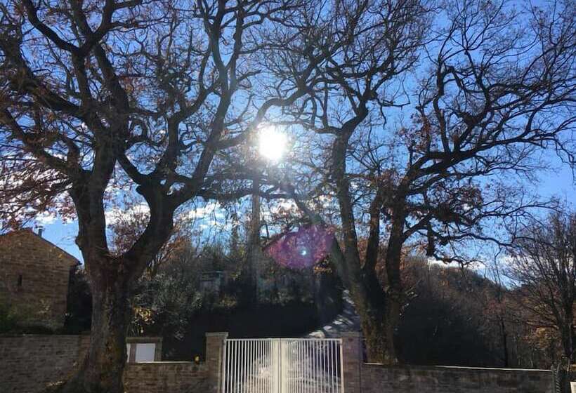 צימר Amico Country House