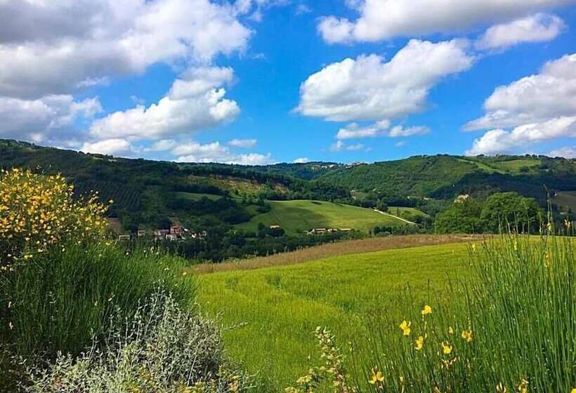 مبيت وإفطار Amico Country House