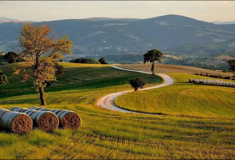 צימר Amico Country House