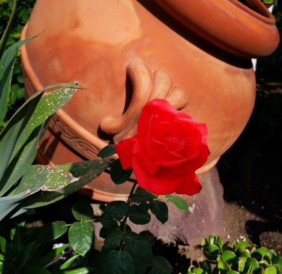 צימר Aquilone Residence