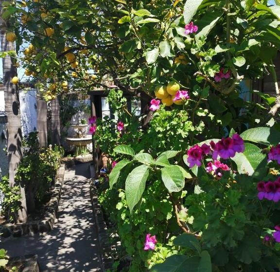 צימר Aquilone Residence