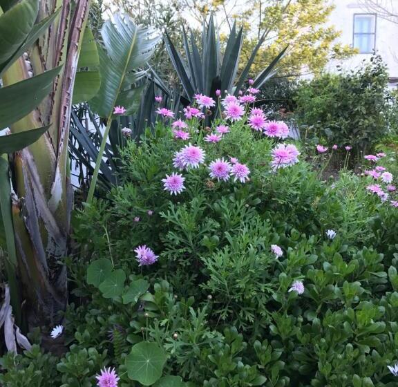 צימר Aquilone Residence