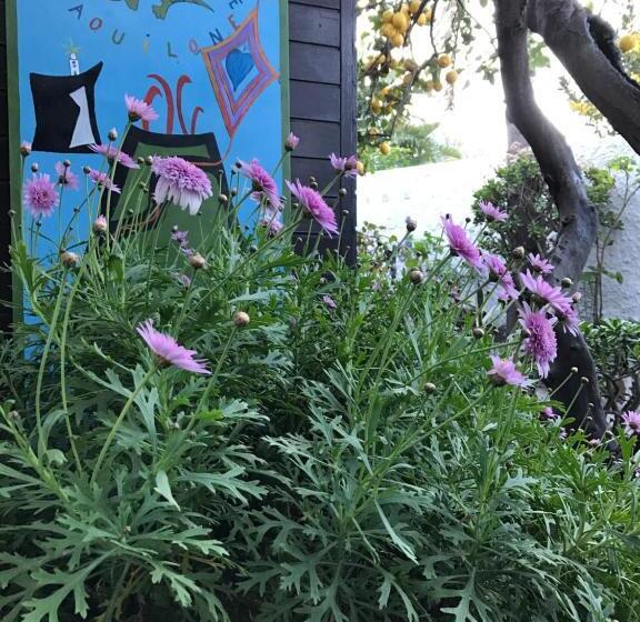 צימר Aquilone Residence