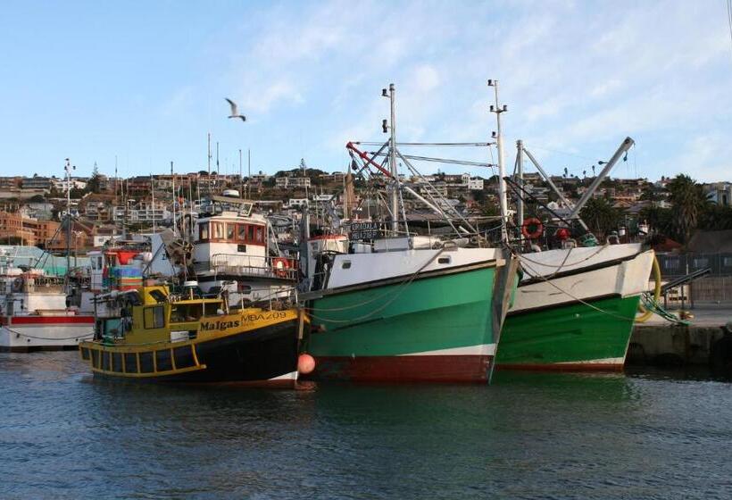 צימר Avenues Guesthouse