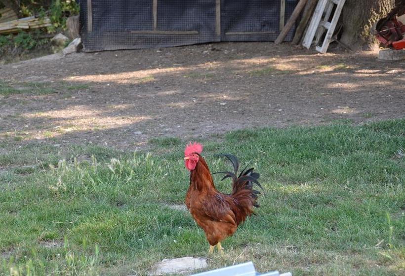 צימר Campo Della Corte