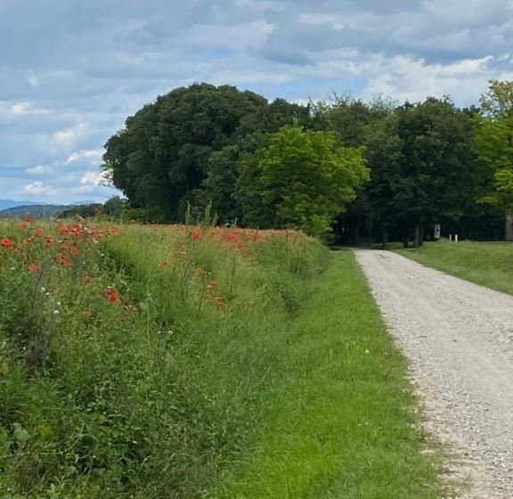 צימר Casa Barnaba Manin