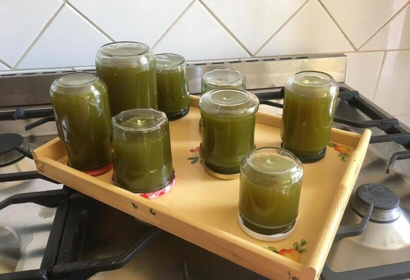 مبيت وإفطار Château De Villeneuve   Montolieu