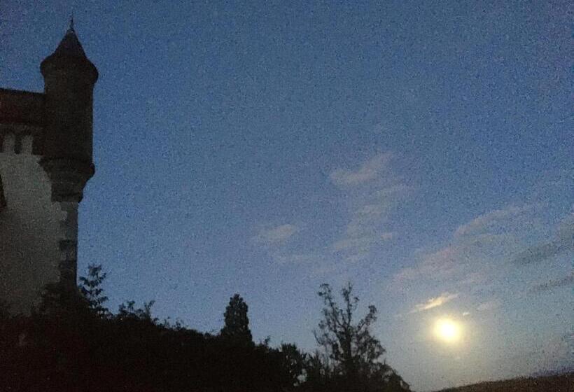 مبيت وإفطار Château De Villeneuve   Montolieu