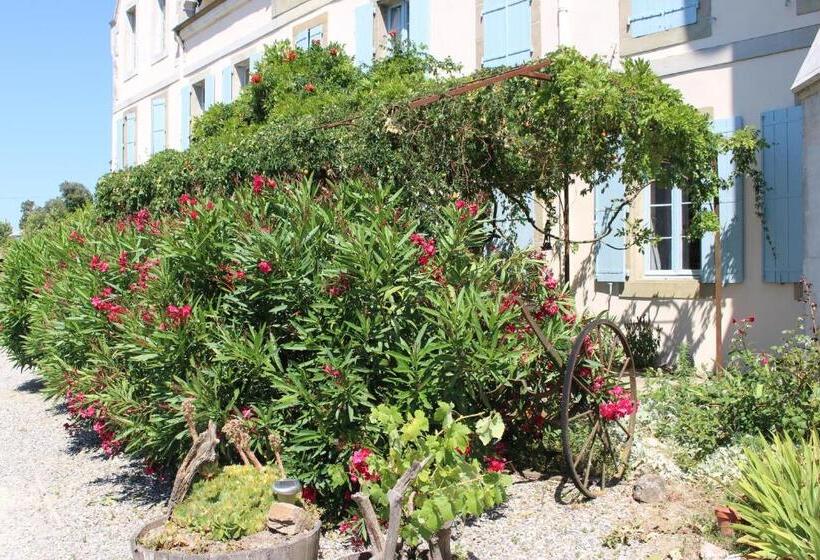 مبيت وإفطار Château De Villeneuve   Montolieu