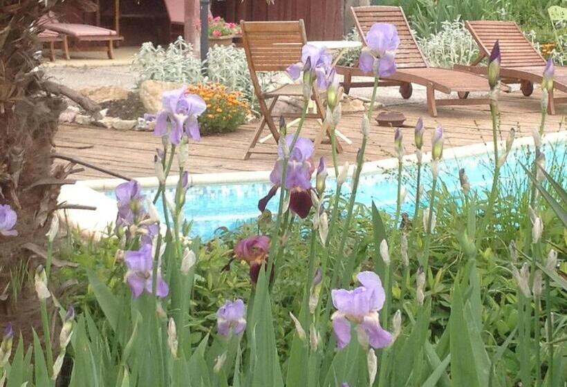 مبيت وإفطار Château De Villeneuve   Montolieu