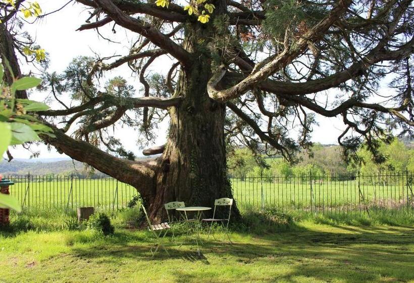 مبيت وإفطار Château De Villeneuve   Montolieu