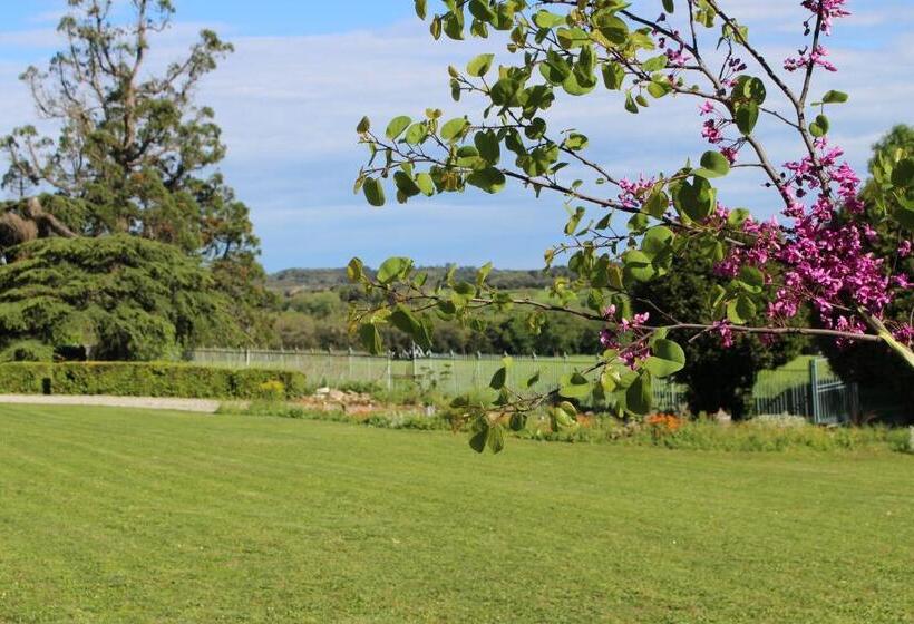 مبيت وإفطار Château De Villeneuve   Montolieu