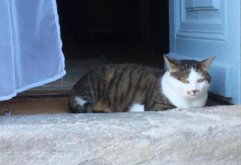 مبيت وإفطار Château De Villeneuve   Montolieu