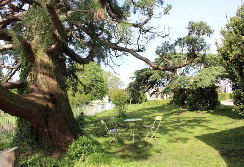 مبيت وإفطار Château De Villeneuve   Montolieu