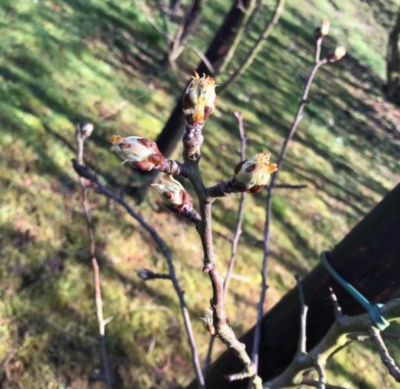 住宿加早餐  De Verborgen Parel