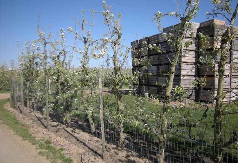 住宿加早餐  De Verborgen Parel