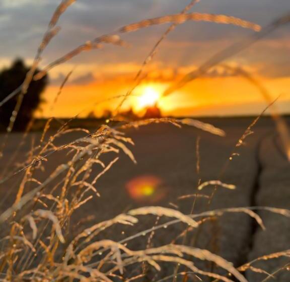 住宿加早餐  De Verborgen Parel