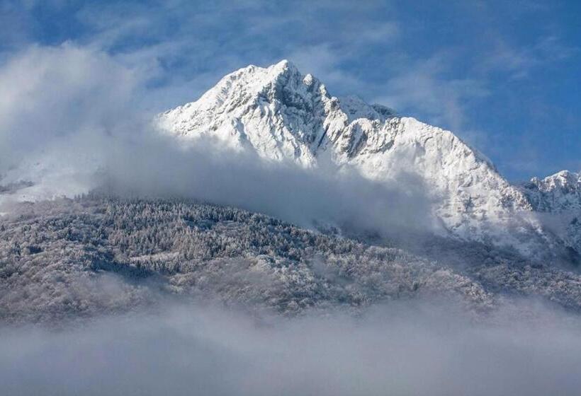 Bed and Breakfast La Maison Lion