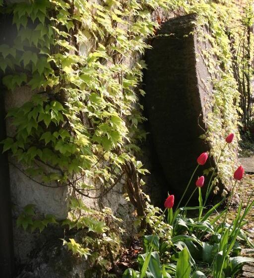 Bed and Breakfast La Maison Lion