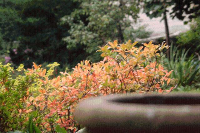 مبيت وإفطار Le Camelie