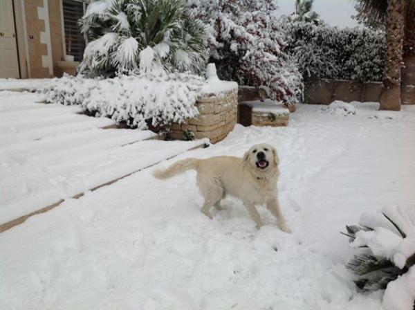צימר Le Mediterranee