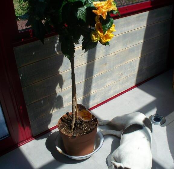 住宿加早餐 Le Pre Karvain