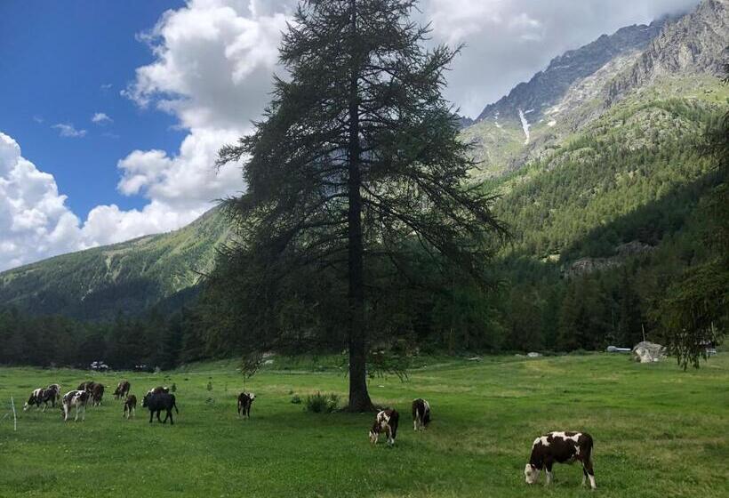 مبيت وإفطار Maison Constance