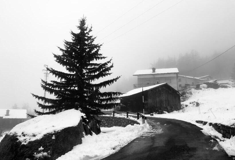 مبيت وإفطار Maison Constance