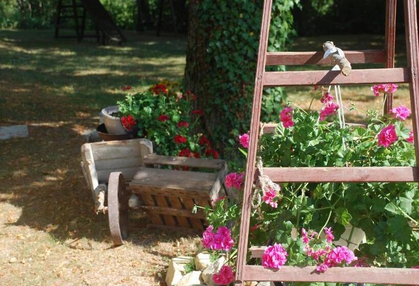 Bed and Breakfast Maison D Hôtes Ainsi Soie T Il