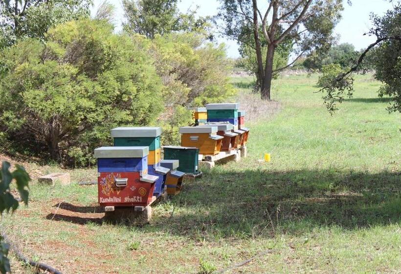 مبيت وإفطار Mater Bed & Food Riserva Naturale Di Torre Guaceto