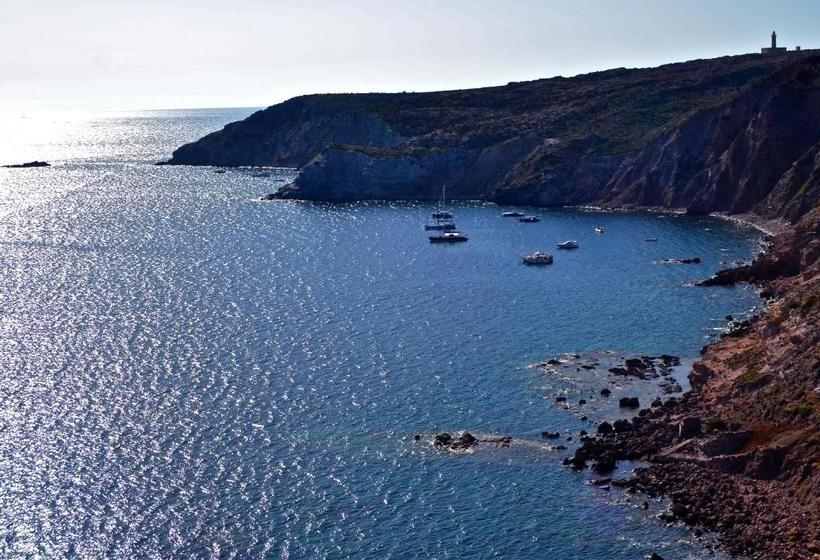 مبيت وإفطار Poecylia