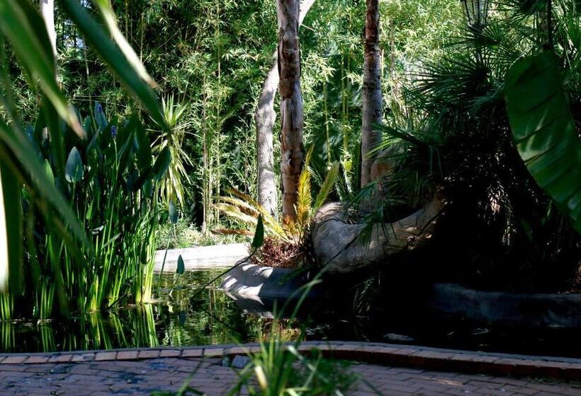 Bed and Breakfast Summerview Guest Lodge