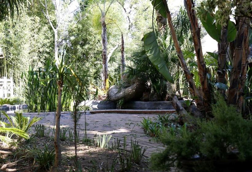 Bed and Breakfast Summerview Guest Lodge