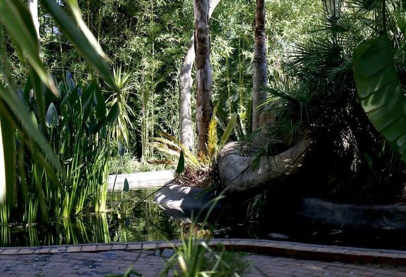 Bed and Breakfast Summerview Guest Lodge