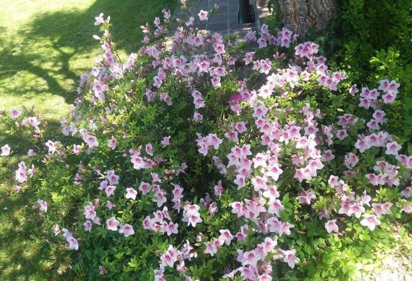 민박 Villa Campo Dei Fiori