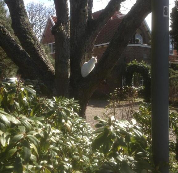 ベッドアンドブレックファースト Villa Hoog Duin