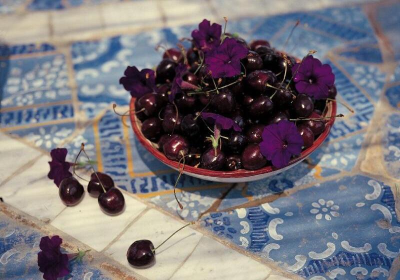 ベッドアンドブレックファースト Villa Laetitia