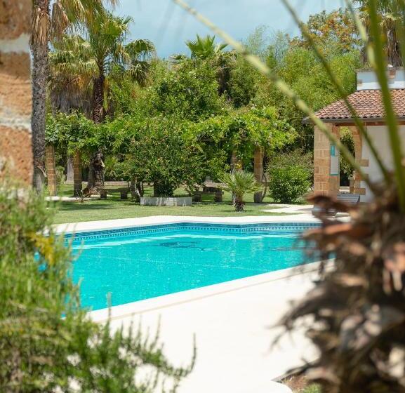 Bed and Breakfast Villa Padula