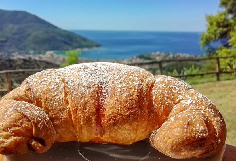 Driùs Edodè   B&b Affittacamere