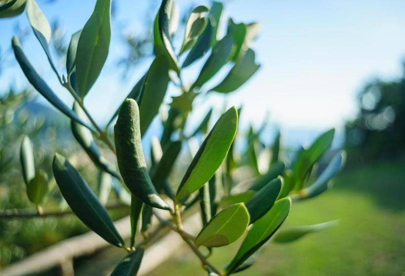 Driùs Edodè   B&b Affittacamere