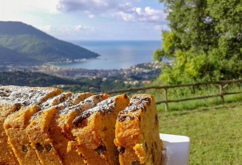 Driùs Edodè   B&b Affittacamere