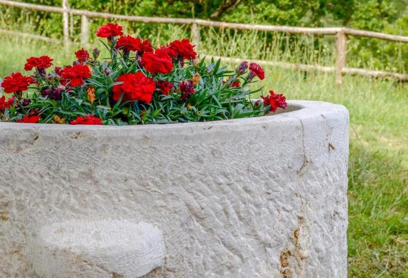 Driùs Edodè   B&b Affittacamere