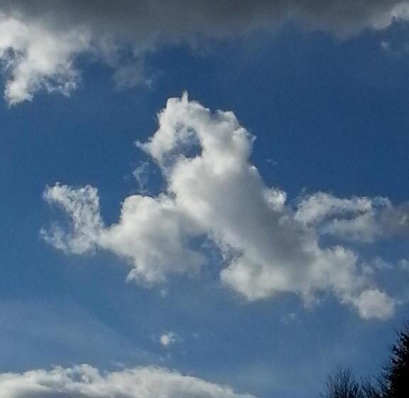 酒店 Albergo Ristorante K2