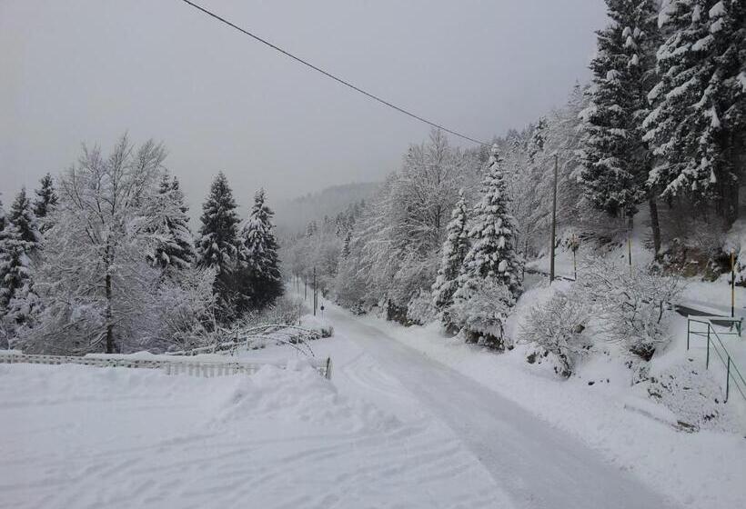 酒店 Albergo Ristorante K2