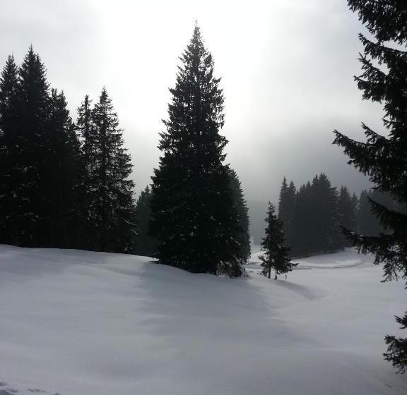 酒店 Albergo Ristorante K2