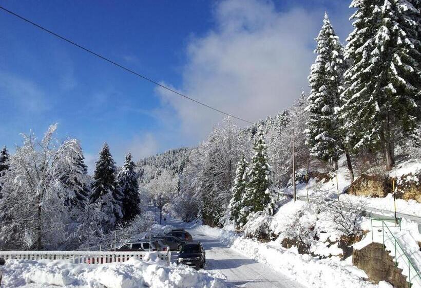 酒店 Albergo Ristorante K2