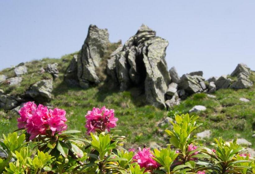 בית מלון כפרי Alpengasthof Grimmingblick