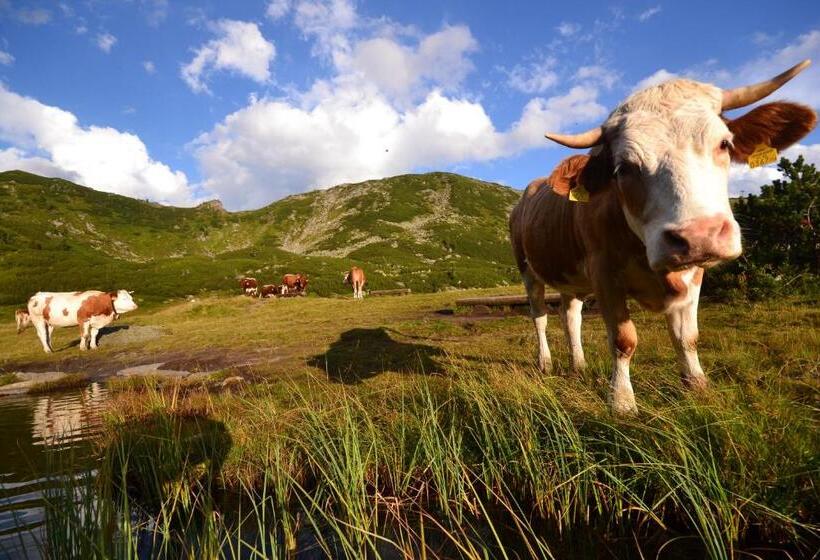 בית מלון כפרי Alpengasthof Grimmingblick