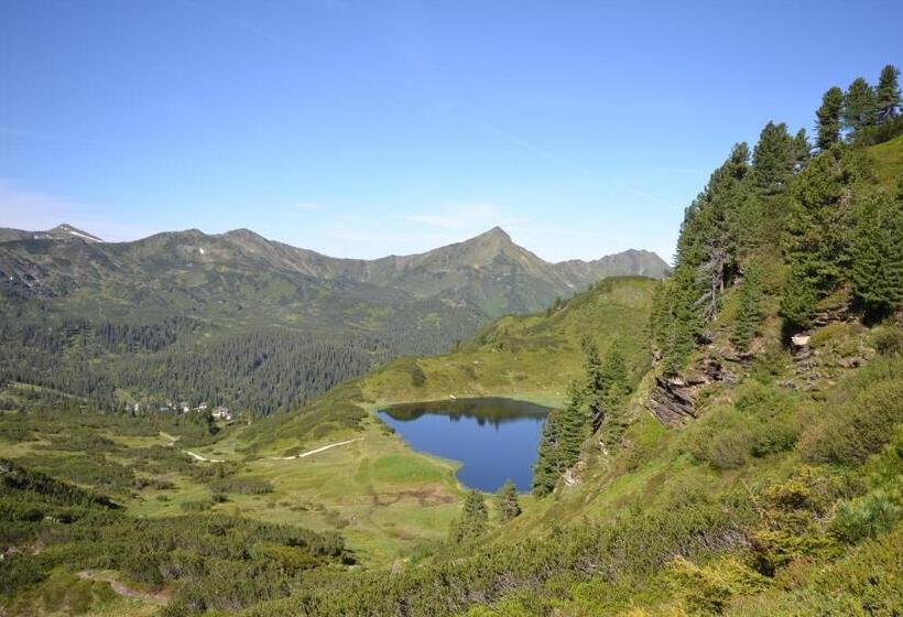 בית מלון כפרי Alpengasthof Grimmingblick