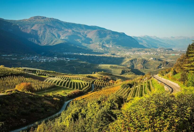 בית מלון כפרי Alt Spaur